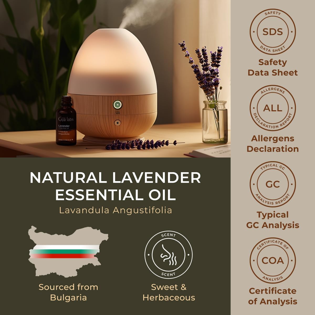 Gya Labs Lavender Essential Oil for Diffuser - 100% Natural Lavender Oil for Skin, Lavender Oil Essential Oil for Hair, Massage & Candle Making - 100% Pure Aromatherapy Oils (0.34 fl oz)